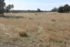 Old Boort Road, Woolshed Flat, Vic 3518-Image