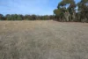 Old Boort Road, Woolshed Flat, Vic 3518-Image