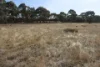 Old Boort Road, Woolshed Flat, Vic 3518-Image