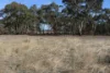 Old Boort Road, Woolshed Flat, Vic 3518-Image