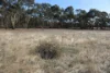 Old Boort Road, Woolshed Flat, Vic 3518-Image