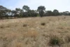 Old Boort Road, Woolshed Flat, Vic 3518-Image