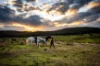 "Outlier Ranch", 404 Glengyle Road, Nanima, NSW 2582-Image