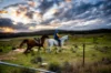 "Outlier Ranch", 404 Glengyle Road, Nanima, NSW 2582-Image