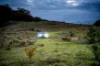 "Outlier Ranch", 404 Glengyle Road, Nanima, NSW 2582-Image