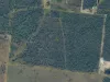, Palmyra QLD 4751-Image