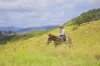"PARADISE"/256 Paradise Road, Mount Sylvia QLD 4343-Image