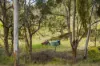 "PARADISE"/256 Paradise Road, Mount Sylvia QLD 4343-Image