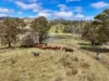 "PARADISE"/256 Paradise Road, Mount Sylvia QLD 4343-Image