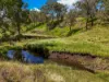 "PARADISE"/256 Paradise Road, Mount Sylvia QLD 4343-Image