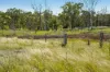"PARADISE"/256 Paradise Road, Mount Sylvia QLD 4343-Image