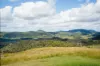 "PARADISE"/256 Paradise Road, Mount Sylvia QLD 4343-Image