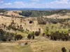 "PARADISE"/256 Paradise Road, Mount Sylvia QLD 4343-Image