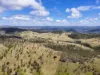 "PARADISE"/256 Paradise Road, Mount Sylvia QLD 4343-Image
