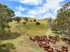 "PARADISE"/256 Paradise Road, Mount Sylvia QLD 4343-Image