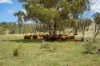 "PARADISE"/256 Paradise Road, Mount Sylvia QLD 4343-Image