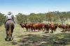 "PARADISE"/256 Paradise Road, Mount Sylvia QLD 4343-Image