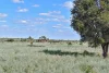 " Prairie", Augathella, Qld 4477-Image