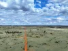" Prairie", Augathella, Qld 4477-Image