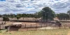 " Prairie", Augathella, Qld 4477-Image