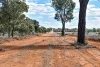 " Prairie", Augathella, Qld 4477-Image