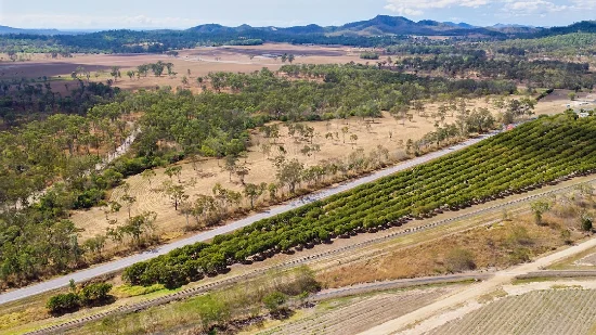 Proposed Lot 44, Midge Point Road, Bloomsbury, Qld 4799