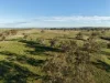 "Rangeview" 2541 Vinegaroy Road, Cassilis, NSW 2329-Image