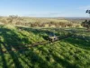 "Rangeview" 2541 Vinegaroy Road, Cassilis, NSW 2329-Image