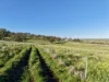 "Rangeview" 2541 Vinegaroy Road, Cassilis, NSW 2329-Image