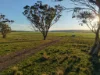 "Rangeview" 2541 Vinegaroy Road, Cassilis, NSW 2329-Image