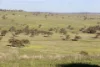 "Rangeview" 2541 Vinegaroy Road, Cassilis, NSW 2329-Image
