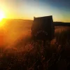 "Rangeview" 2541 Vinegaroy Road, Cassilis, NSW 2329-Image