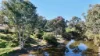 Renovo, Bingara, NSW 2404-Image