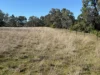 Renovo, Bingara, NSW 2404-Image