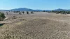 Renovo, Bingara, NSW 2404-Image