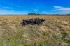Riordans Road, Ballangeich, Vic 3279-Image