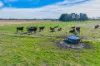 Riordans Road, Ballangeich, Vic 3279-Image