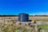 Riordans Road, Ballangeich, Vic 3279-Image