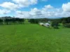 RN928 Glen Allyn Road, Malanda QLD 4885-Image