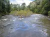 RN928 Glen Allyn Road, Malanda QLD 4885-Image