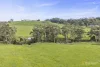 Rowes Road North, Scotts Creek, Vic 3267-Image