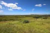 "Scrubview" Frawleys Road, Thangool QLD 4716-Image