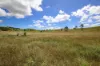 "Scrubview" Frawleys Road, Thangool QLD 4716-Image