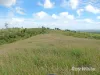 "Scrubview" Frawleys Road, Thangool QLD 4716-Image