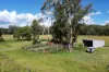 "Scrubview" Frawleys Road, Thangool QLD 4716-Image