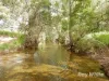 "Scrubview" Frawleys Road, Thangool QLD 4716-Image