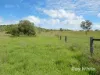 "Scrubview" Frawleys Road, Thangool QLD 4716-Image
