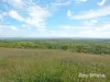 "Scrubview" Frawleys Road, Thangool QLD 4716-Image