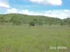"Scrubview" Frawleys Road, Thangool QLD 4716-Image