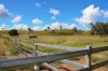"Scrubview" Frawleys Road, Thangool QLD 4716-Image